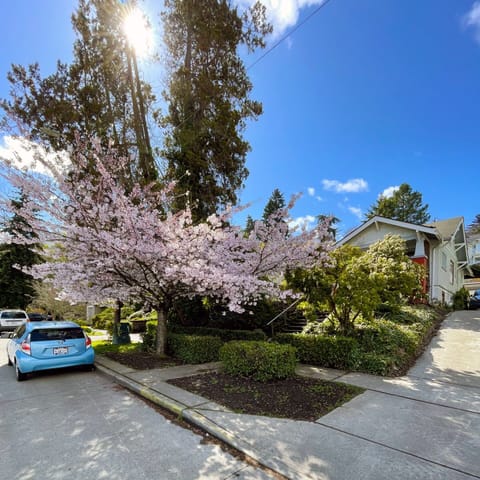 Street parking is always available in Portage Bay
