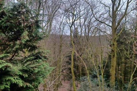 View from Holiday Home [winter]