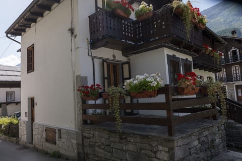 Plant, Building, Property, Window, Flowerpot, Door, House, Houseplant, Wood, Road Surface