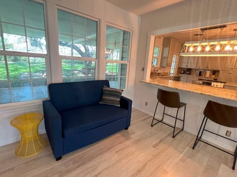 Single Pull-out Futon