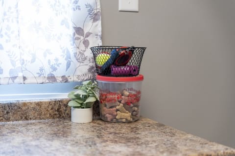 Kitchen counter with dog treats and pet friendly vibes   - Pet essentials like toys and leashes ready for guests   - Perfect for traveling families bringing furry friends