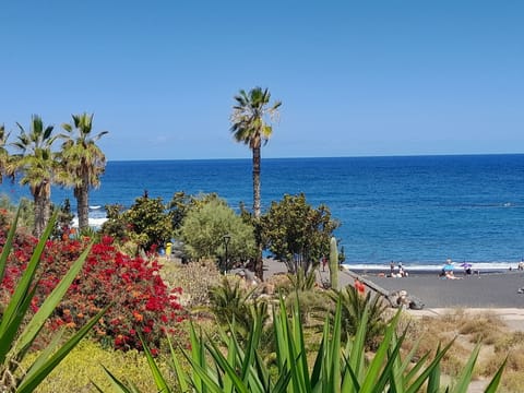 Beach nearby, sun loungers