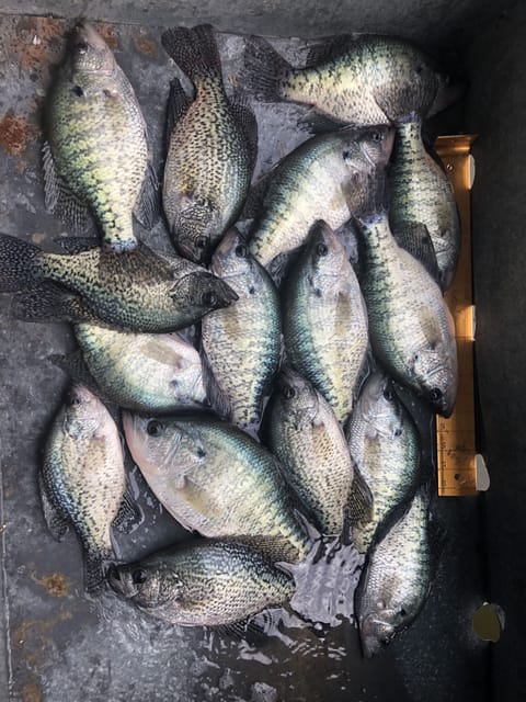 Did we mention the fishing is great?!