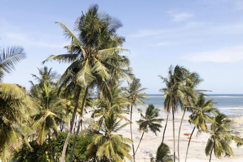 Sun loungers, beach towels