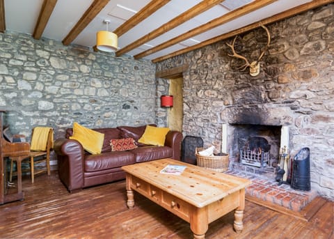 Fireplace, books