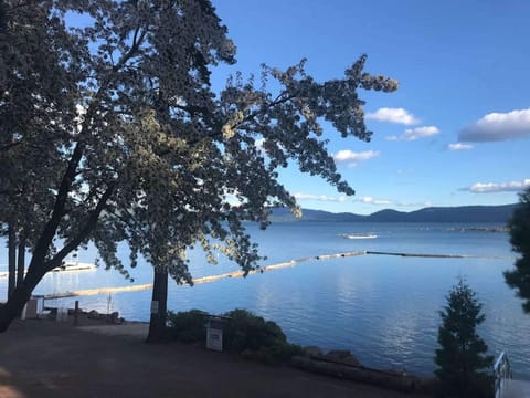 Cherry tree view from cabin 11 deck