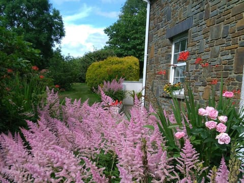 Garden and side of cottage