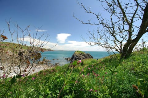 View of Stackpole Quay, beach and rocks