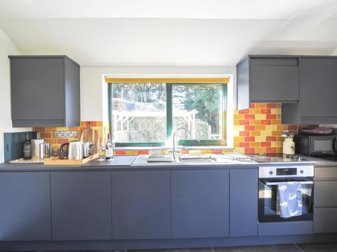Wall and floor cabinets, sink, oven, hob and kettle
