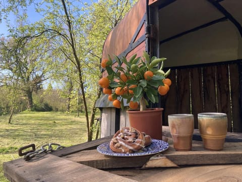 Horsebox cafe, with cups and pastries and view of garden