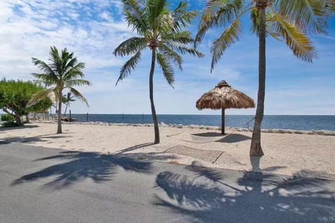 Sun loungers, beach towels