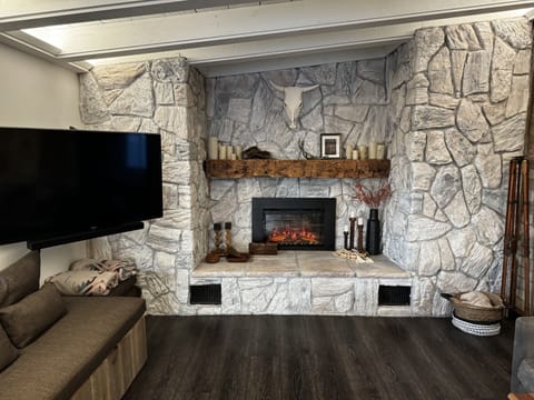 Smart TV, fireplace, books, computer monitors