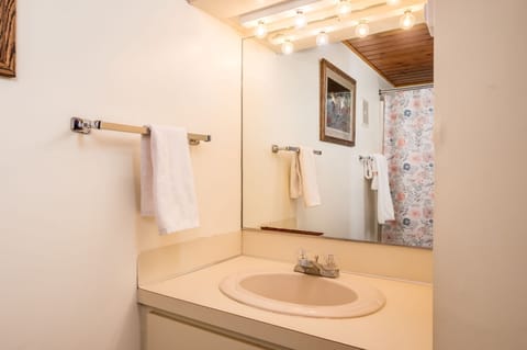 Combined shower/tub, hair dryer, towels