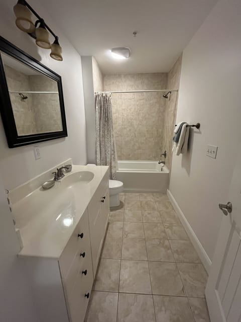 Combined shower/tub, jetted tub, hair dryer, towels