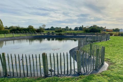 Immediate Surroundings [summer] (&lt;1 km)