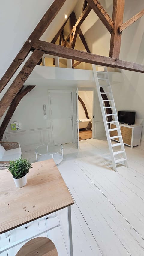 Salon ouvert sur la cuisine, avec télévision et espace repas.
L'accès à la chambre en mezzanine se fait par l'échelle dans le salon.