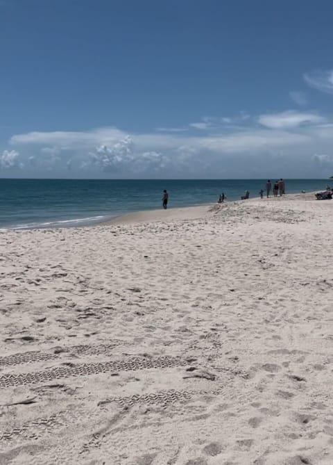 Sun loungers, beach towels