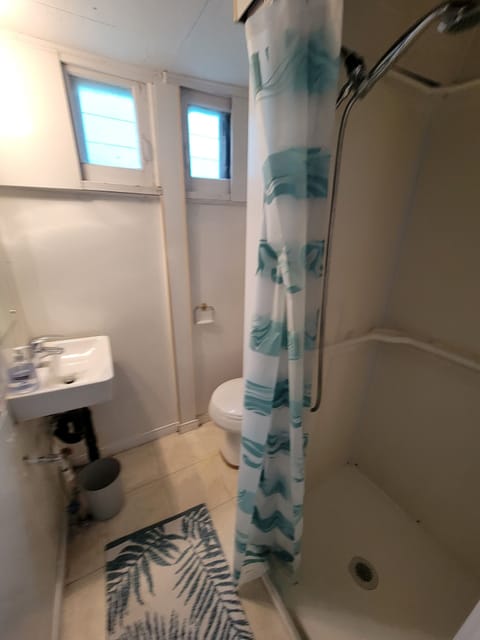 Combined shower/tub, towels, soap