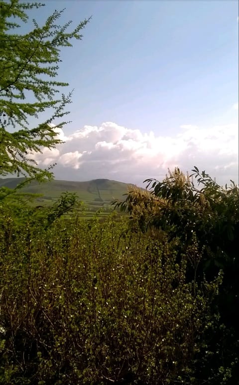 Surrounded by Stunning Woodlands