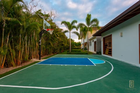 Sport court