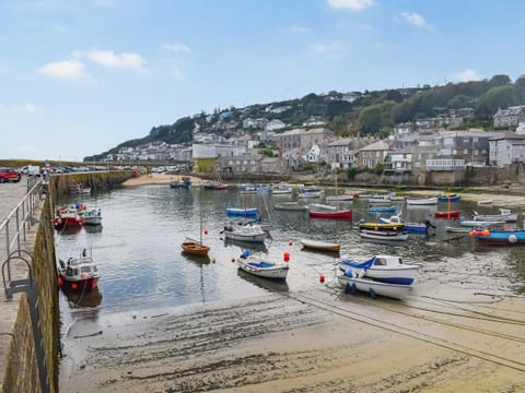 Surrounding area | No 4, Mousehole