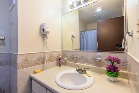 Shower, jetted tub, hair dryer, towels