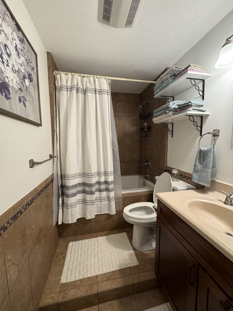 Combined shower/tub, jetted tub, hair dryer, towels