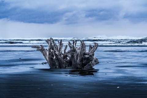 Beach nearby