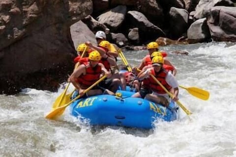 E3ec2ad1 4777 4a2a 9e48 c617bfebd64f