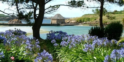 Come and discover the island of Bréhat (pier 15min away)