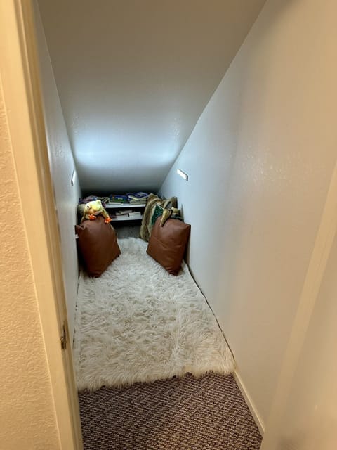 Under-stair closet/kids reading area