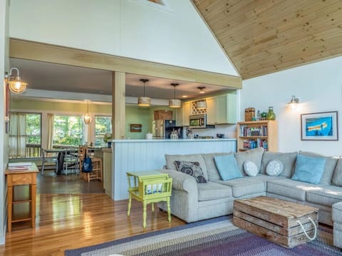 TV, fireplace, books