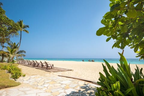 Sun loungers, beach towels