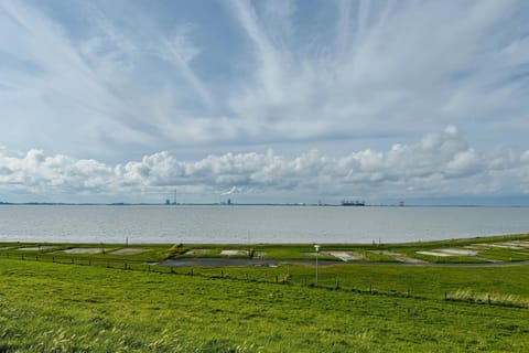 Immediate Surroundings [summer] (&amp;lt;1 km)