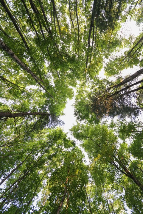 a389d380-970a-424f-90aa-5e97c675f0af