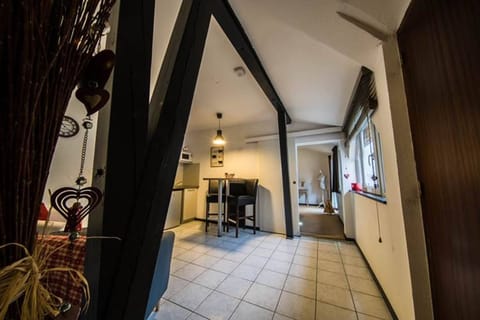 Saint Martin-Vauban-Neuf Brisach01