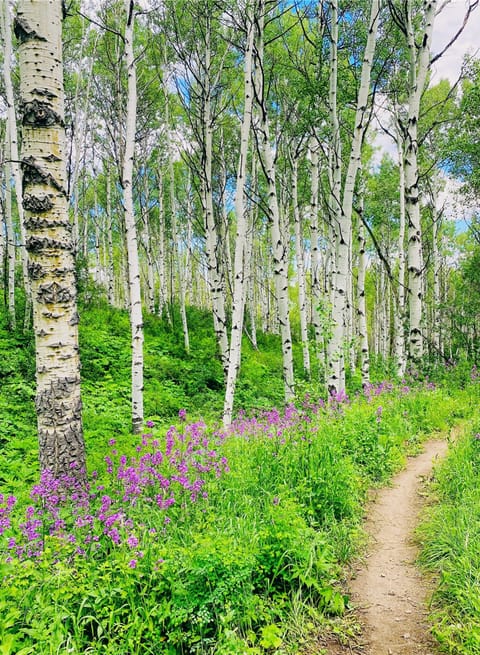 Various trails to explore from the doorstep for hiking & mountain biking