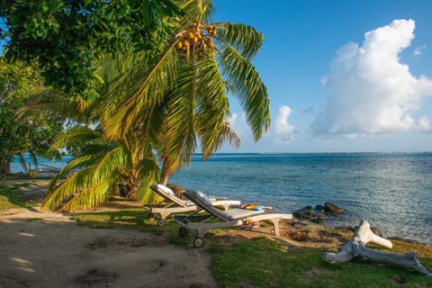 Sun loungers, beach towels