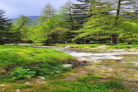 Region [summer] (&gt;5 km)