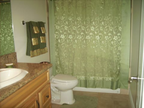 Shower, jetted tub, hair dryer, towels