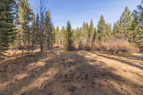 View looking out towards backyard. Cabin backs to open space.
