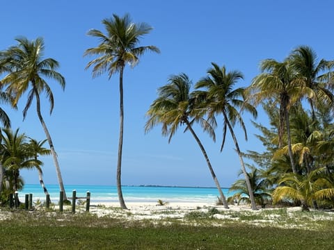 Beach nearby, sun loungers, beach towels