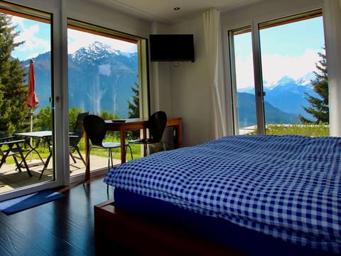 Sky, Plant, Furniture, Property, Window, Azure, Chair, Shade, Interior Design