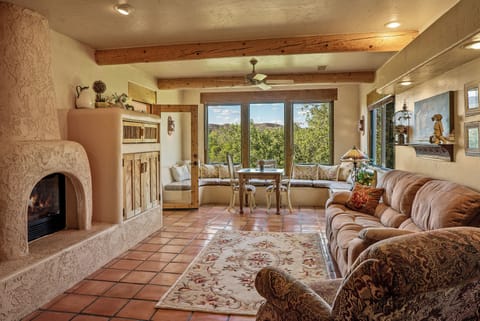 TV, fireplace, books