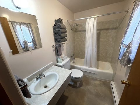 Combined shower/tub, hair dryer, towels