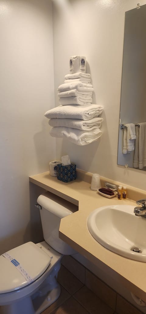 Hair dryer, towels