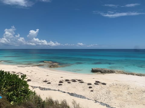 Sun loungers, beach towels