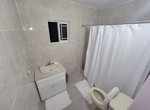 Shower, jetted tub, hair dryer, towels