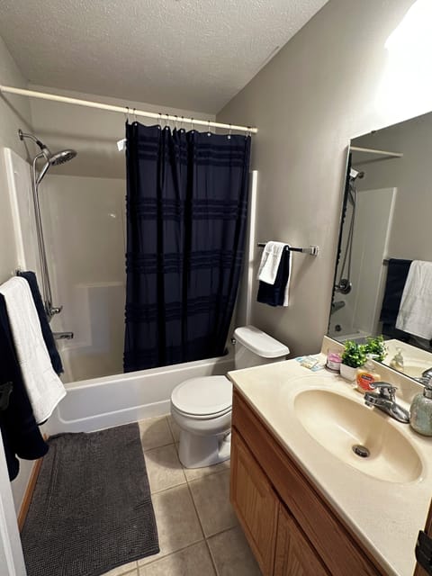 Combined shower/tub, hair dryer, towels, soap