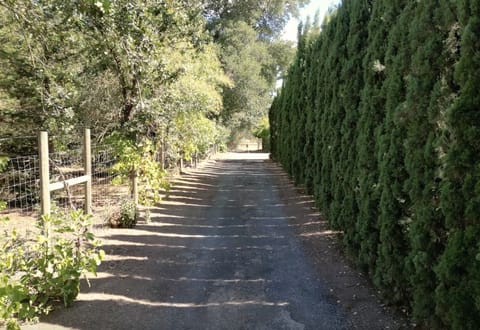 House is set back from main road offering    a private, tranquil sanctuary.